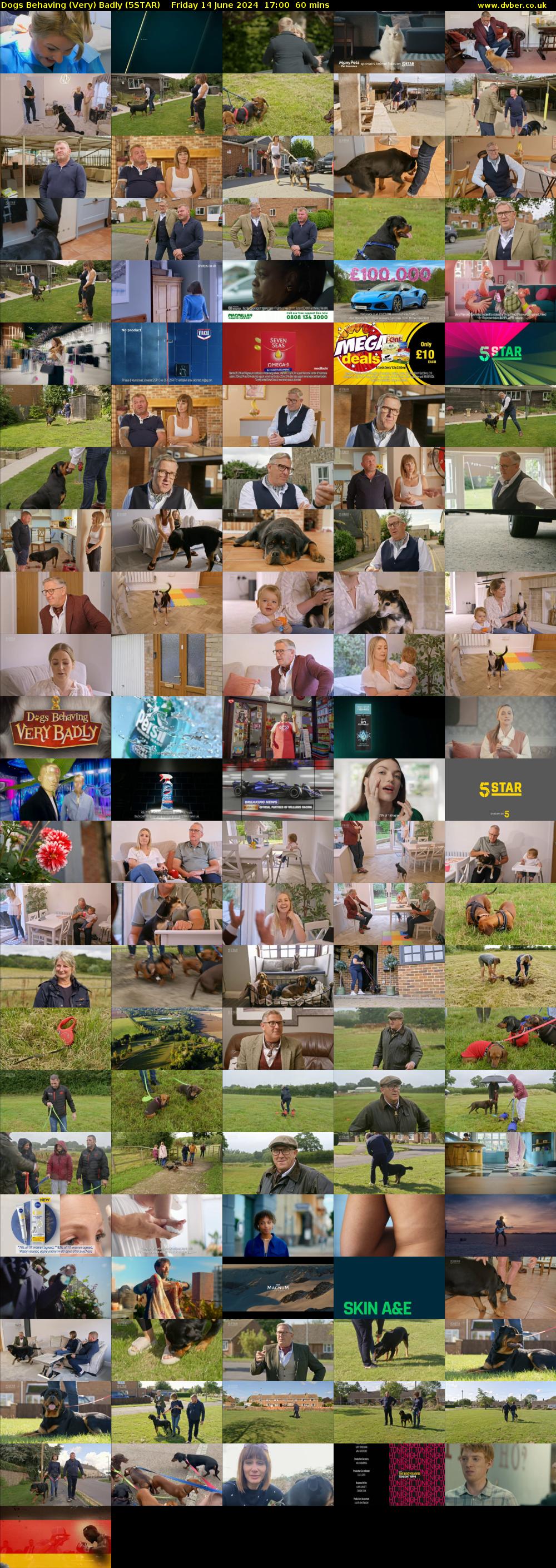 Dogs Behaving (Very) Badly (5STAR) Friday 14 June 2024 17:00 - 18:00
