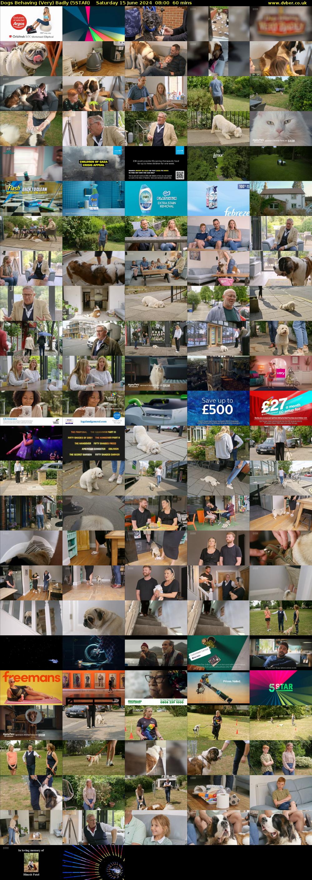 Dogs Behaving (Very) Badly (5STAR) Saturday 15 June 2024 08:00 - 09:00