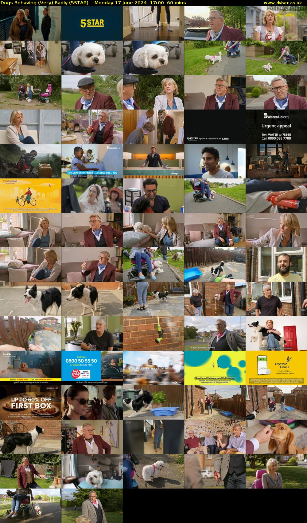 Dogs Behaving (Very) Badly (5STAR) Monday 17 June 2024 17:00 - 18:00