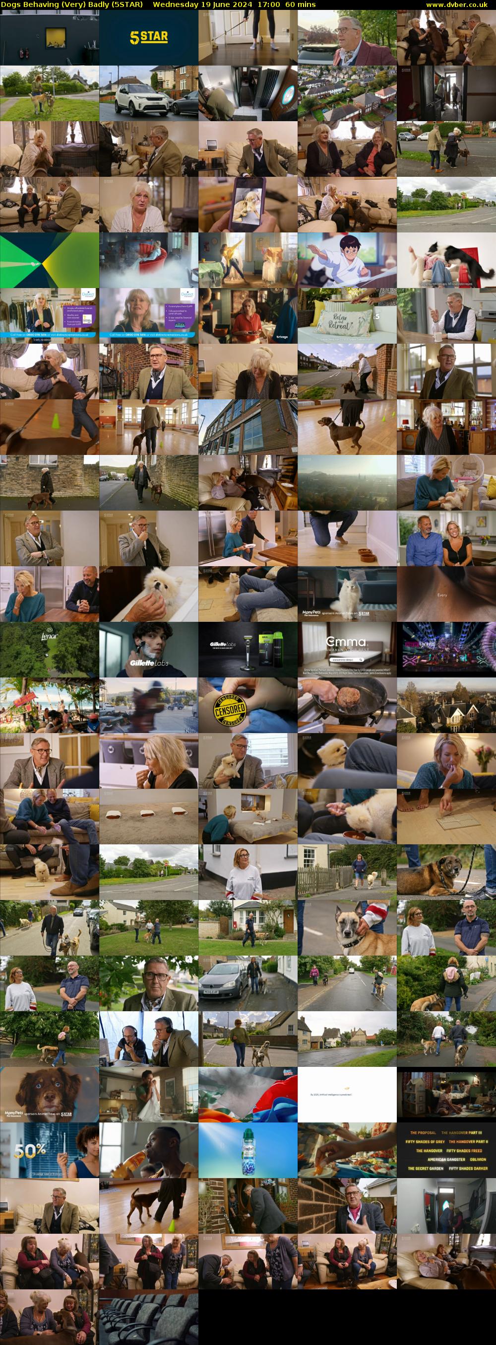 Dogs Behaving (Very) Badly (5STAR) Wednesday 19 June 2024 17:00 - 18:00