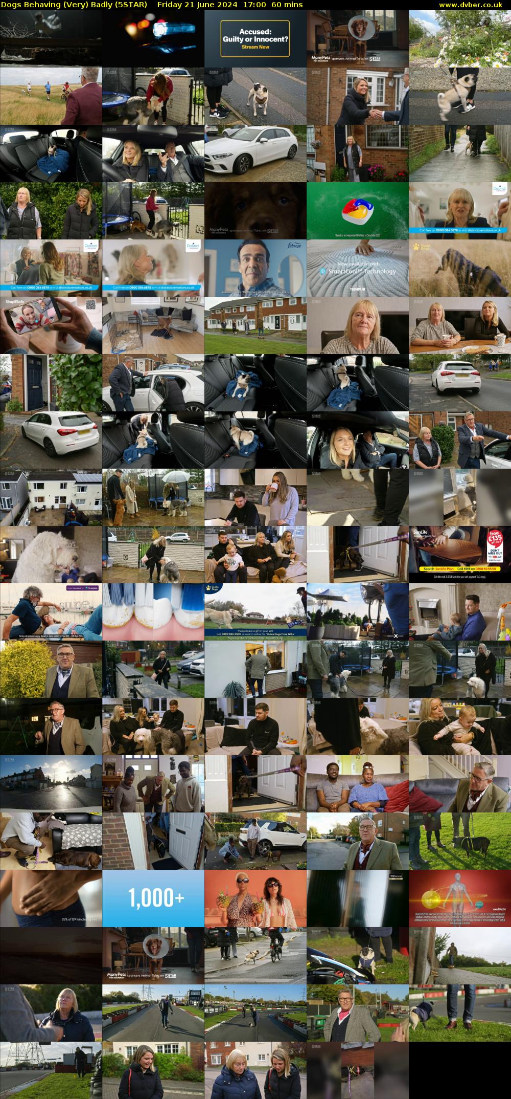 Dogs Behaving (Very) Badly (5STAR) Friday 21 June 2024 17:00 - 18:00