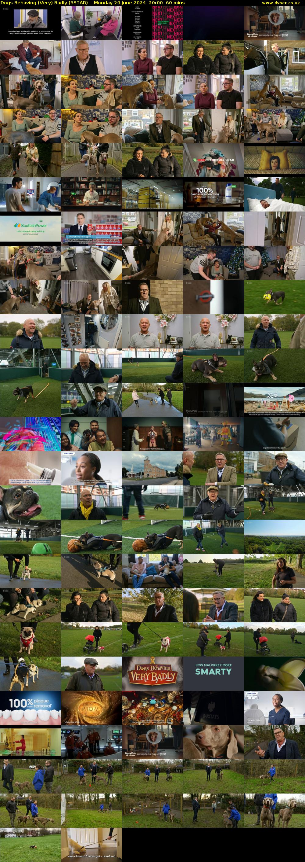 Dogs Behaving (Very) Badly (5STAR) Monday 24 June 2024 20:00 - 21:00