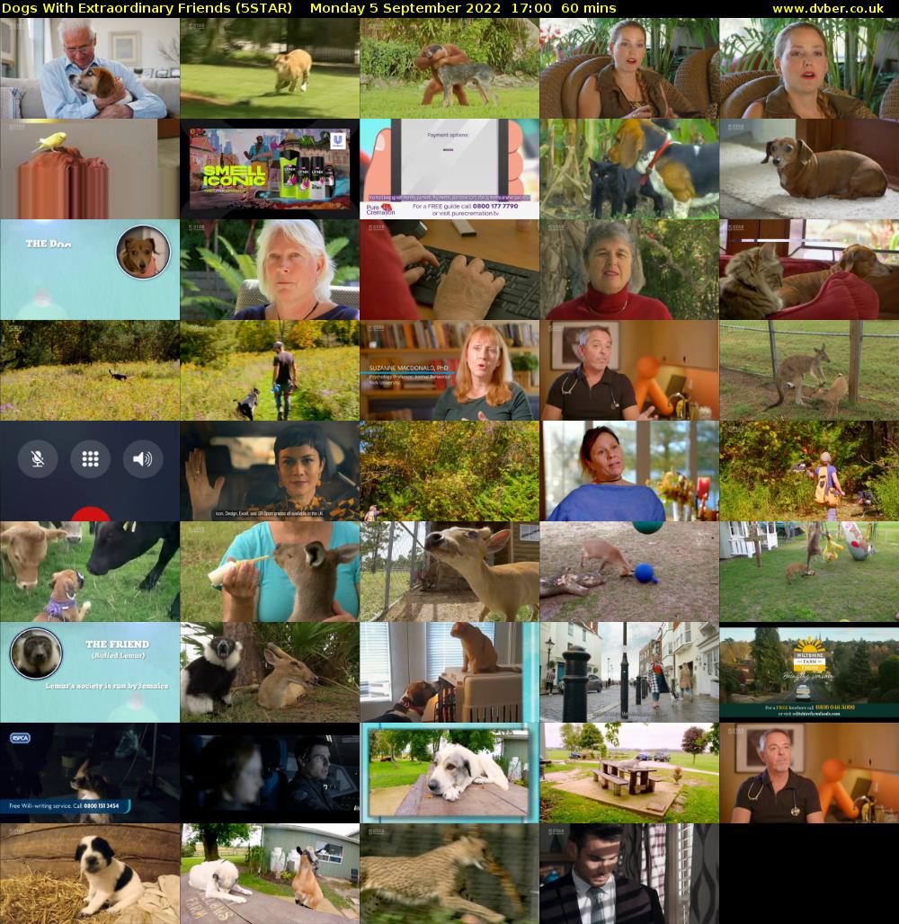Dogs With Extraordinary Friends (5STAR) Monday 5 September 2022 17:00 - 18:00