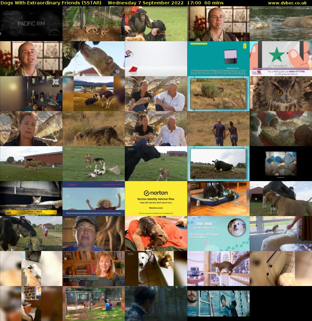 Dogs With Extraordinary Friends (5STAR) Wednesday 7 September 2022 17:00 - 18:00