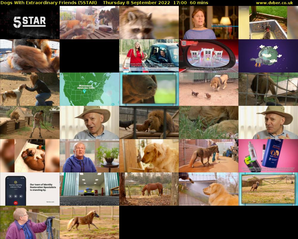 Dogs With Extraordinary Friends (5STAR) Thursday 8 September 2022 17:00 - 18:00