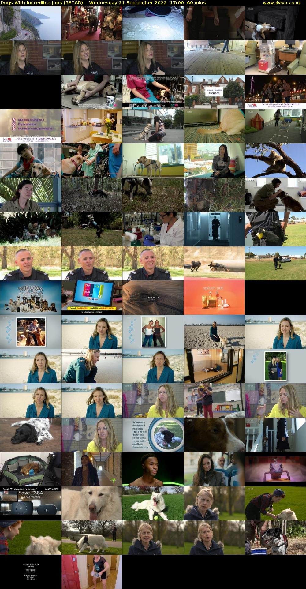 Dogs With Incredible Jobs (5STAR) Wednesday 21 September 2022 17:00 - 18:00