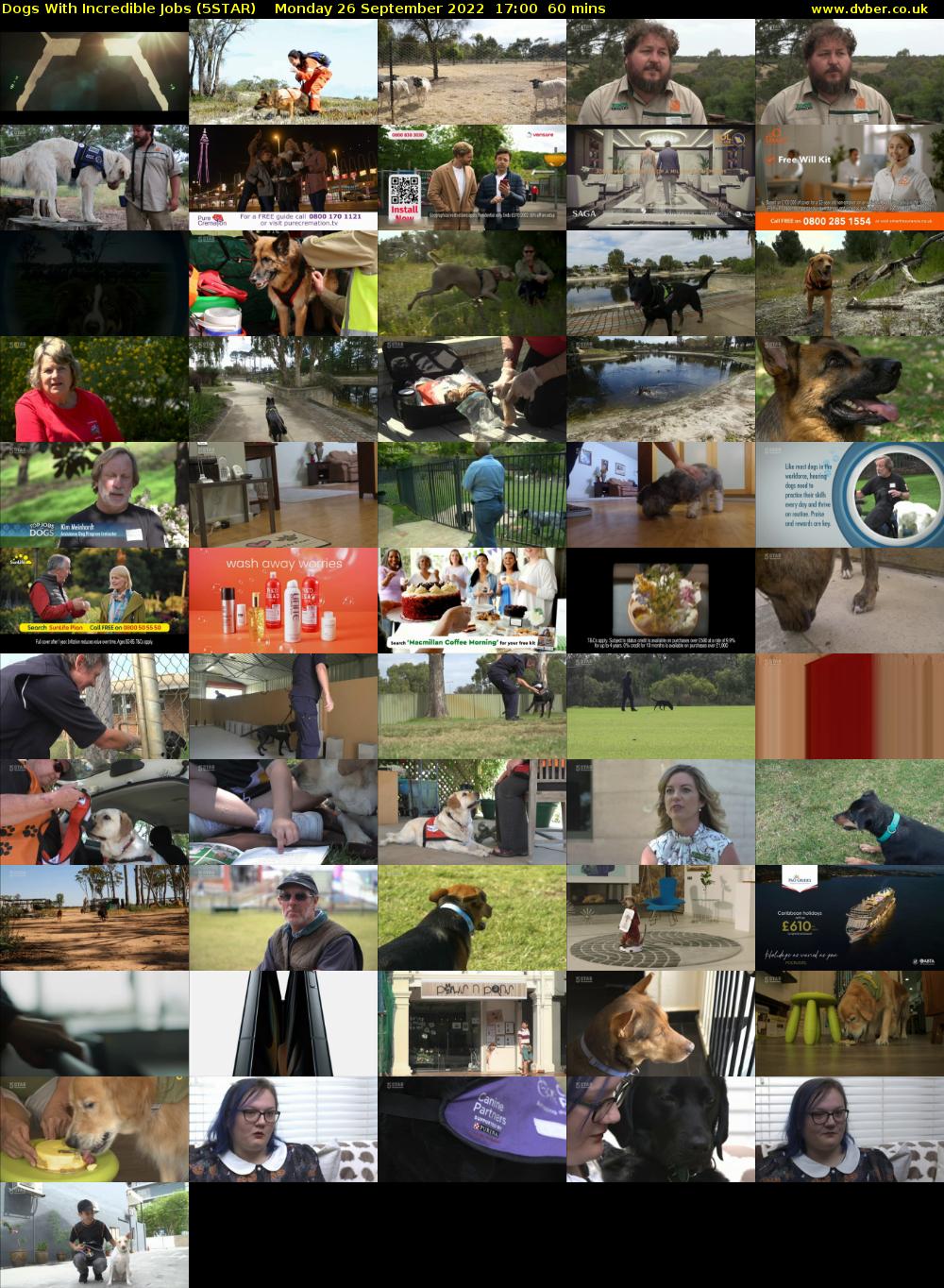 Dogs With Incredible Jobs (5STAR) Monday 26 September 2022 17:00 - 18:00
