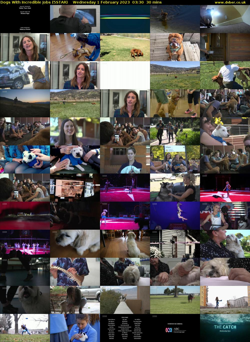 Dogs With Incredible Jobs (5STAR) Wednesday 1 February 2023 03:30 - 04:00