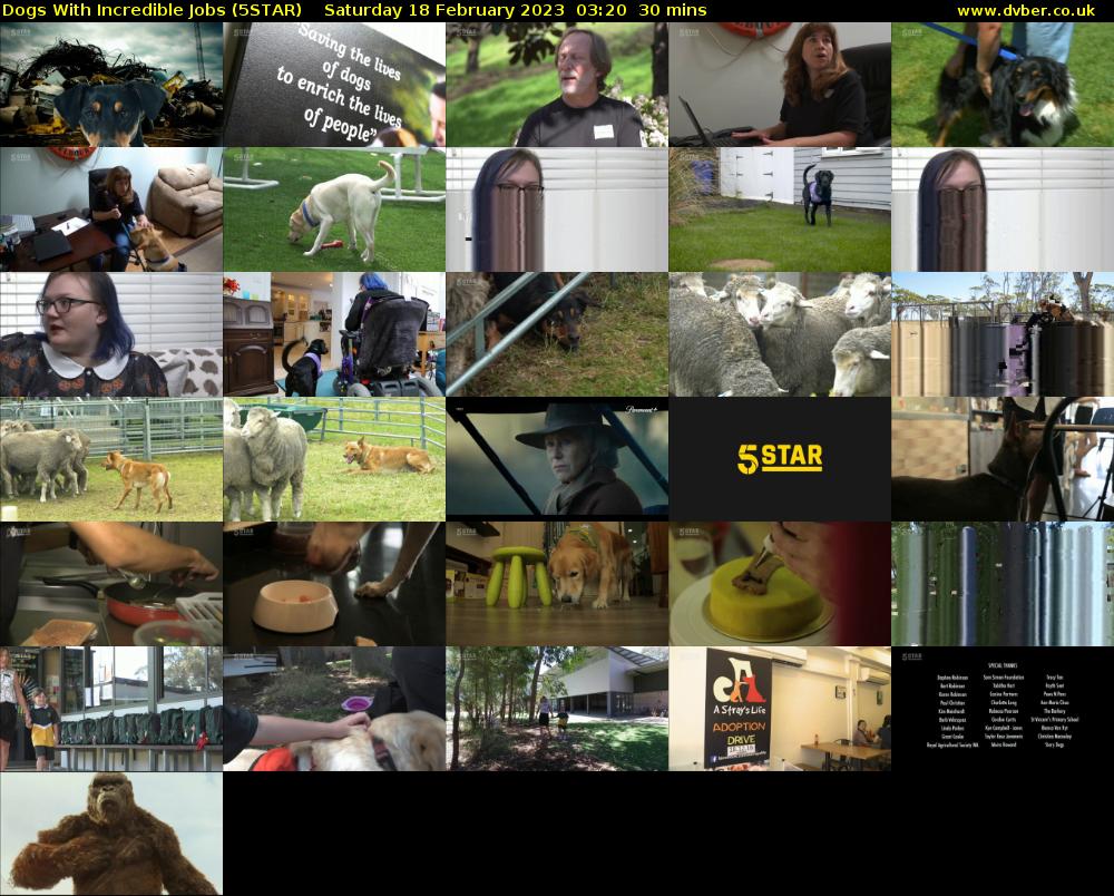 Dogs With Incredible Jobs (5STAR) Saturday 18 February 2023 03:20 - 03:50