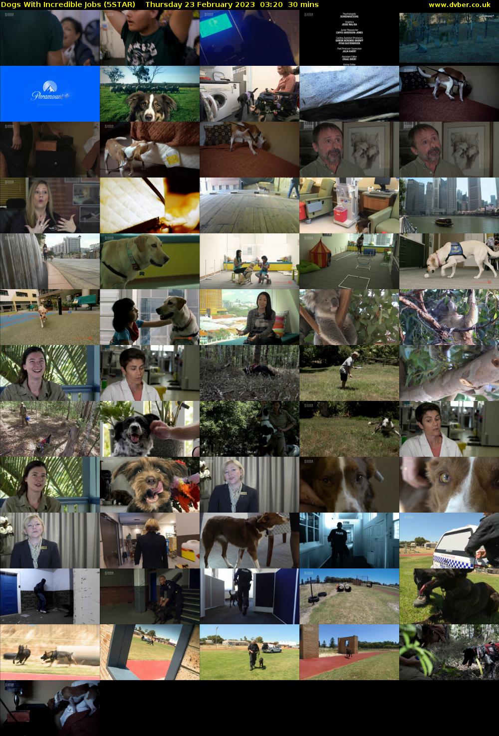 Dogs With Incredible Jobs (5STAR) Thursday 23 February 2023 03:20 - 03:50