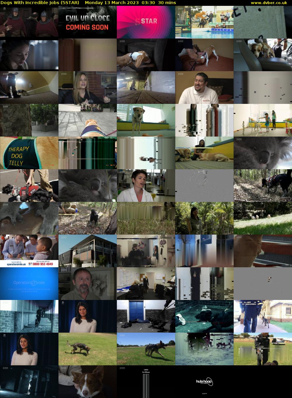 Dogs With Incredible Jobs (5STAR) Monday 13 March 2023 03:30 - 04:00