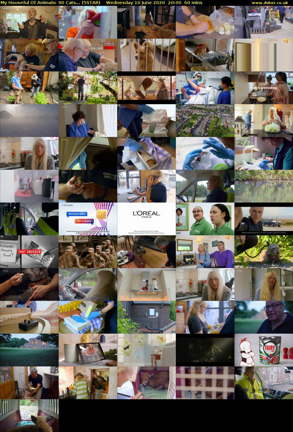 My Houseful Of Animals: 90 Cats... (5STAR) Wednesday 10 June 2020 20:00 - 21:00