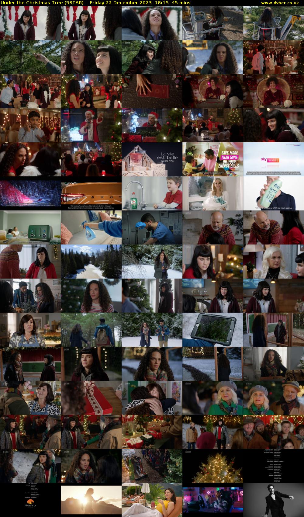 Under the Christmas Tree (5STAR) Friday 22 December 2023 18:15 - 19:00