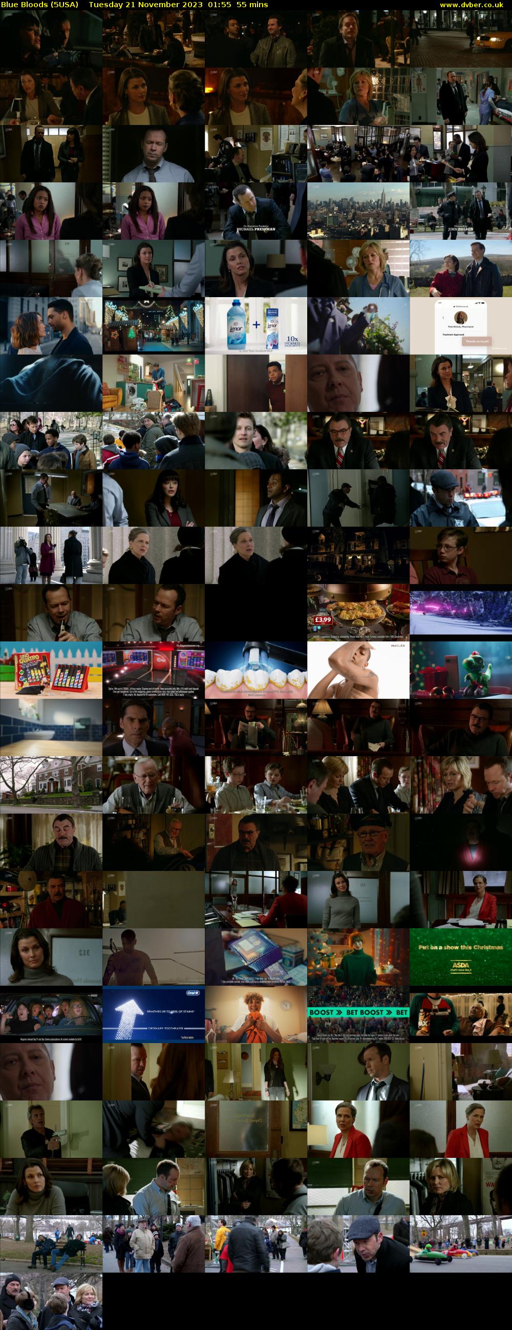 Blue Bloods (5USA) Tuesday 21 November 2023 01:55 - 02:50