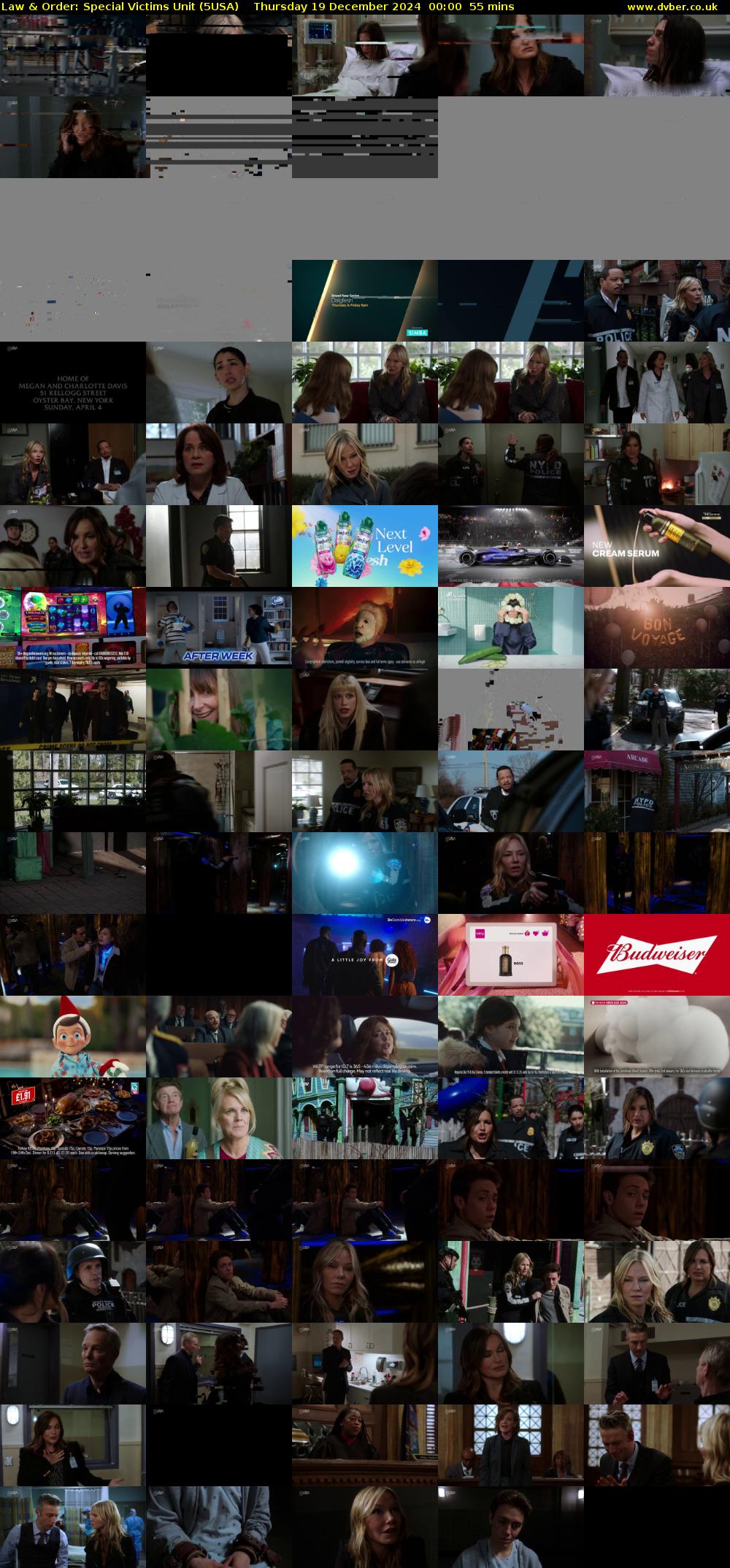 Law & Order: Special Victims Unit (5USA) Thursday 19 December 2024 00:00 - 00:55