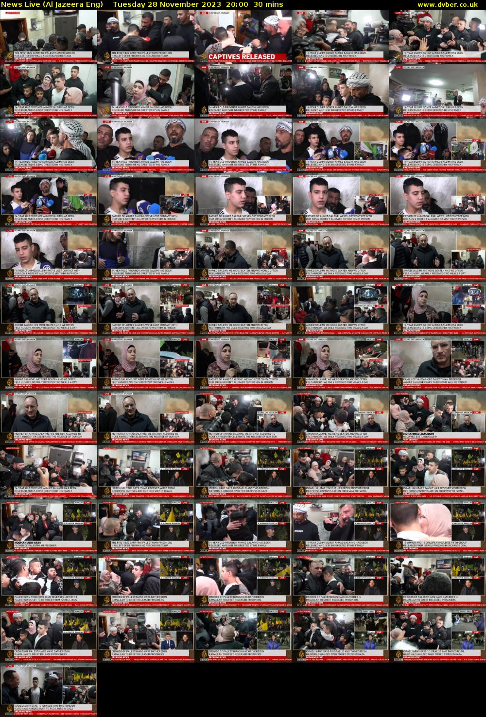 News Live (Al Jazeera Eng) Tuesday 28 November 2023 20:00 - 20:30