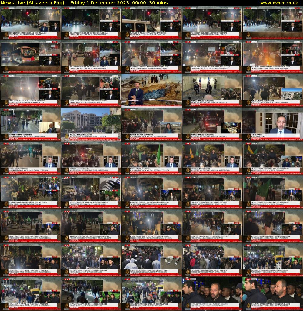 News Live (Al Jazeera Eng) Friday 1 December 2023 00:00 - 00:30