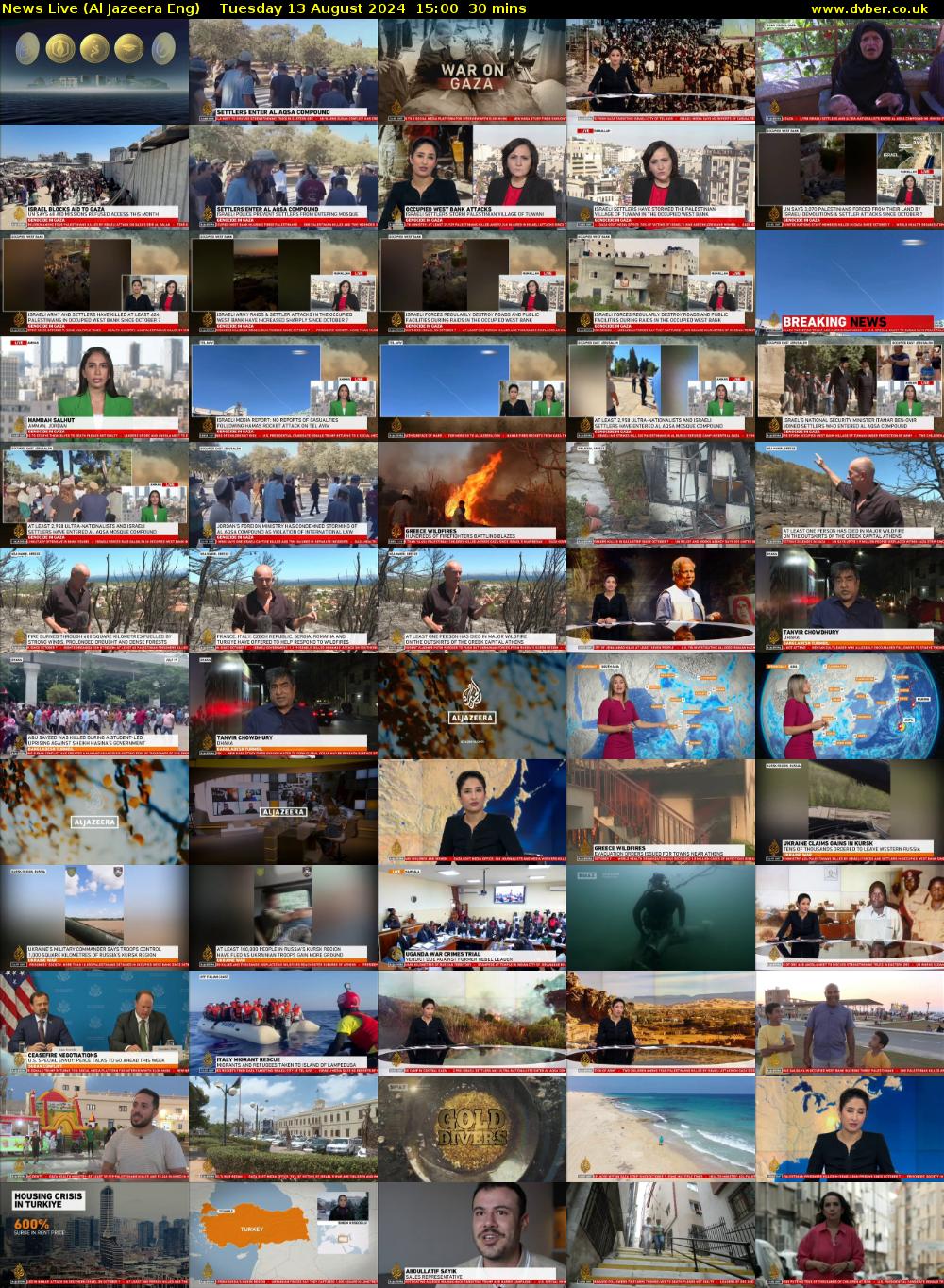 News Live (Al Jazeera Eng) Tuesday 13 August 2024 15:00 - 15:30