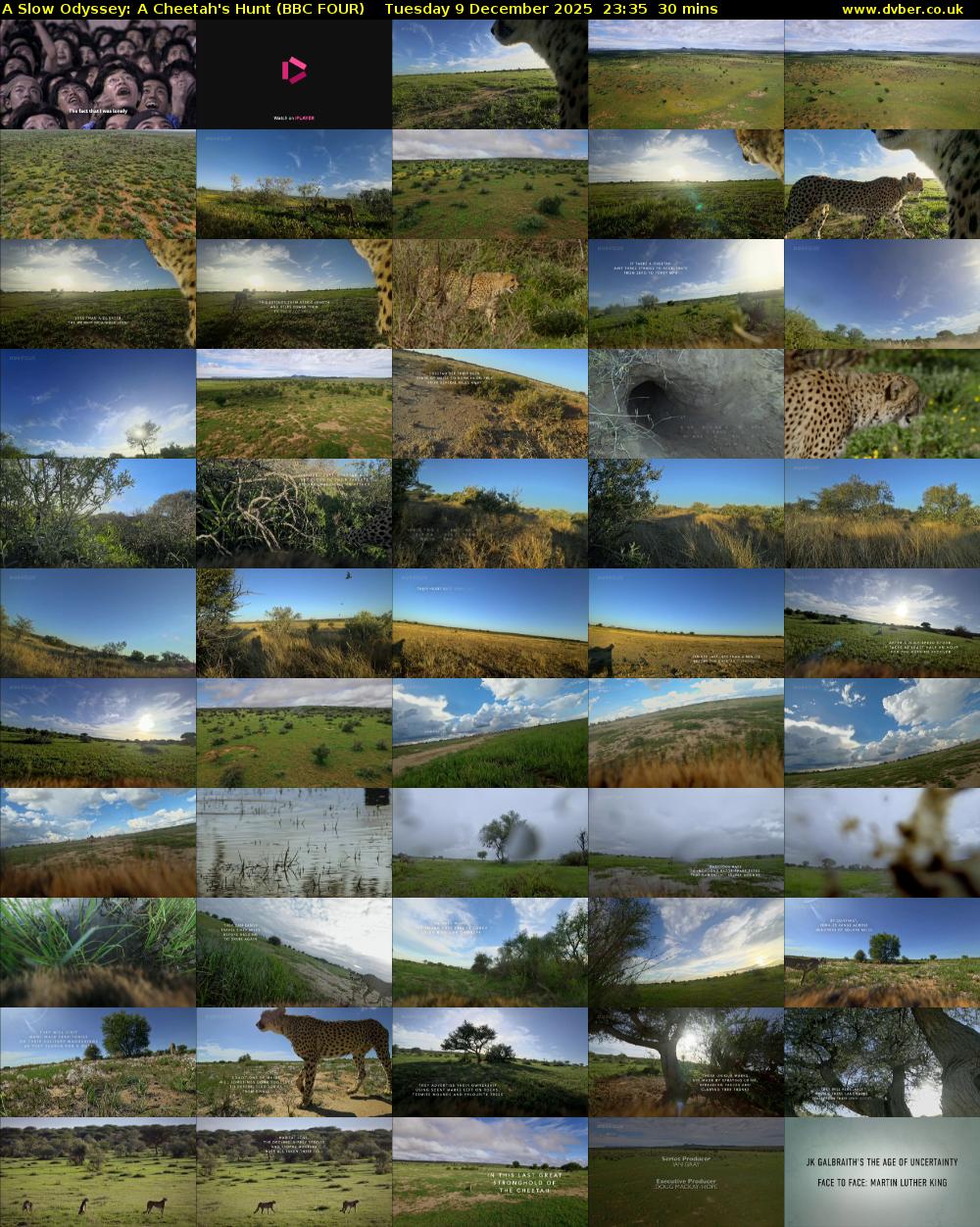 A Slow Odyssey: A Cheetah's Hunt (BBC FOUR) Tuesday 9 December 2025 23:35 - 00:05