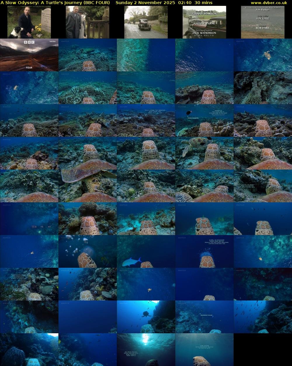 A Slow Odyssey: A Turtle's Journey (BBC FOUR) Sunday 2 November 2025 02:40 - 03:10