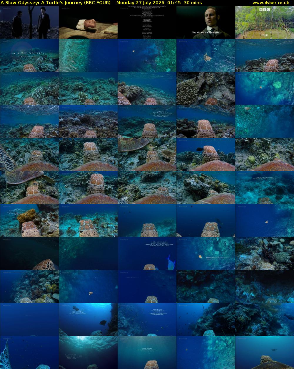 A Slow Odyssey: A Turtle's Journey (BBC FOUR) Monday 27 July 2026 01:45 - 02:15