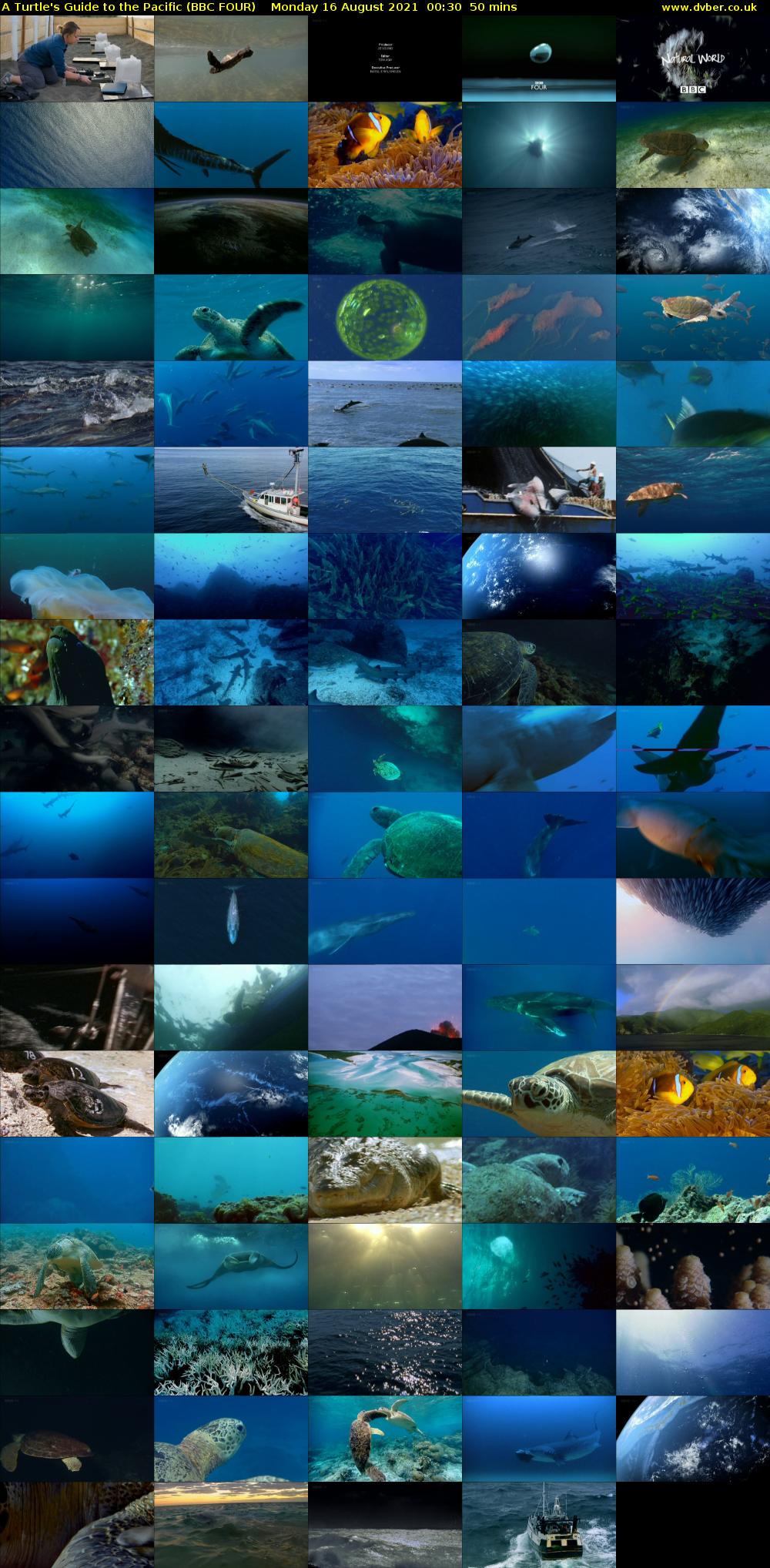 A Turtle's Guide to the Pacific (BBC FOUR) Monday 16 August 2021 00:30 - 01:20