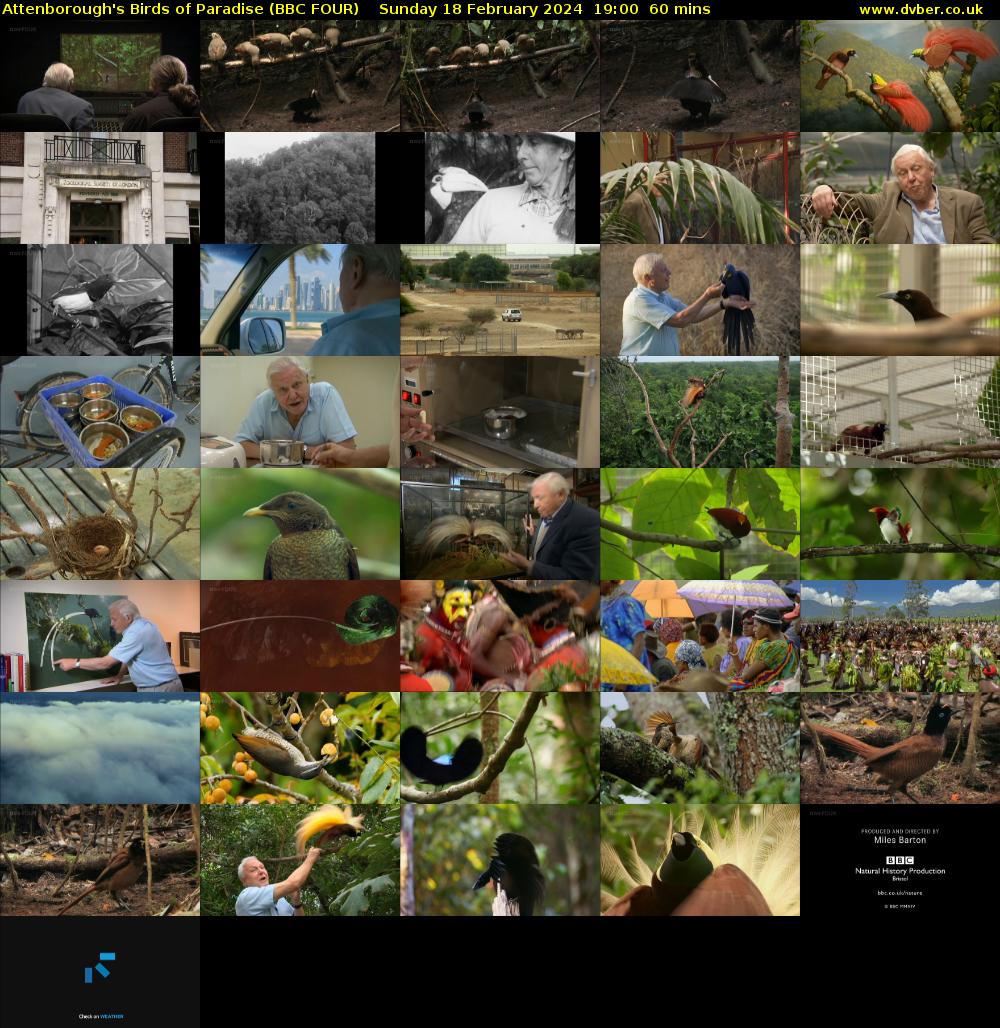 Attenborough's Birds of Paradise (BBC FOUR) Sunday 18 February 2024 19:00 - 20:00