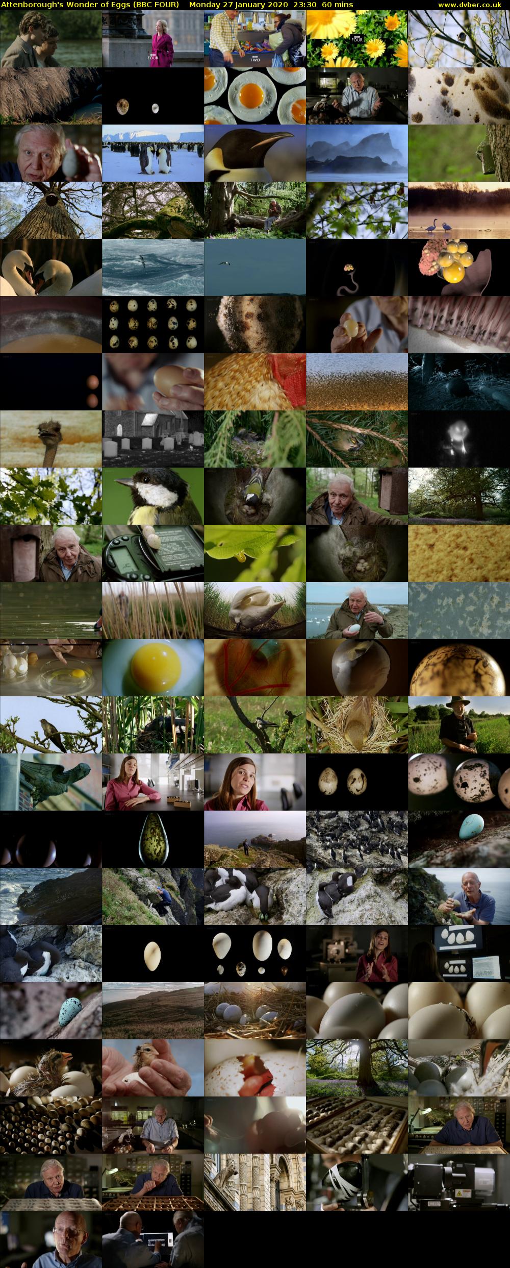 Attenborough's Wonder of Eggs (BBC FOUR) Monday 27 January 2020 23:30 - 00:30