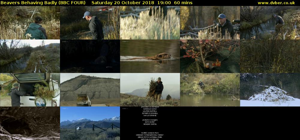 Beavers Behaving Badly (BBC FOUR) Saturday 20 October 2018 19:00 - 20:00