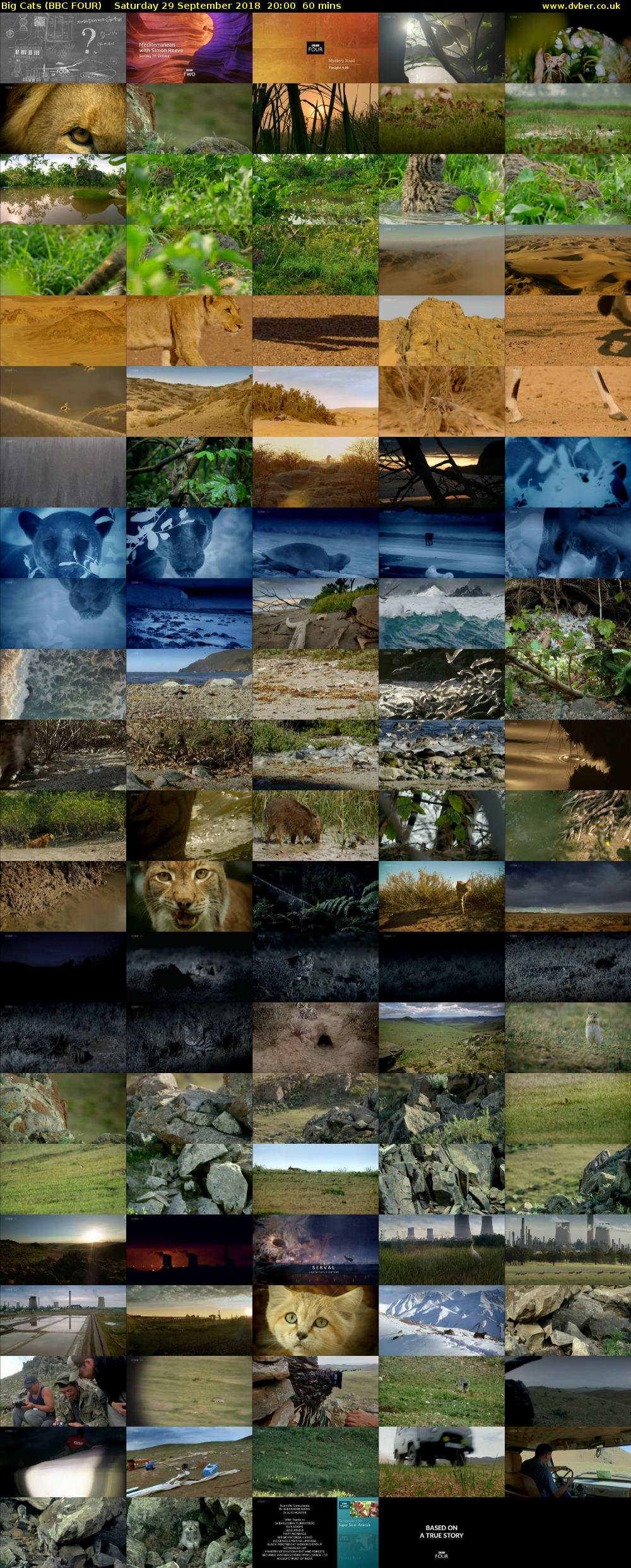 Big Cats (BBC FOUR) Saturday 29 September 2018 20:00 - 21:00
