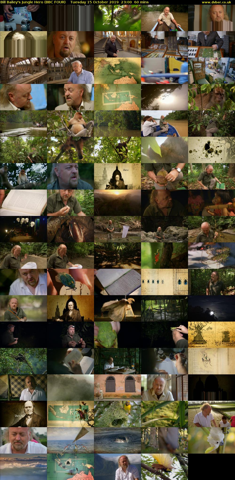 Bill Bailey's Jungle Hero (BBC FOUR) Tuesday 15 October 2019 23:00 - 00:00