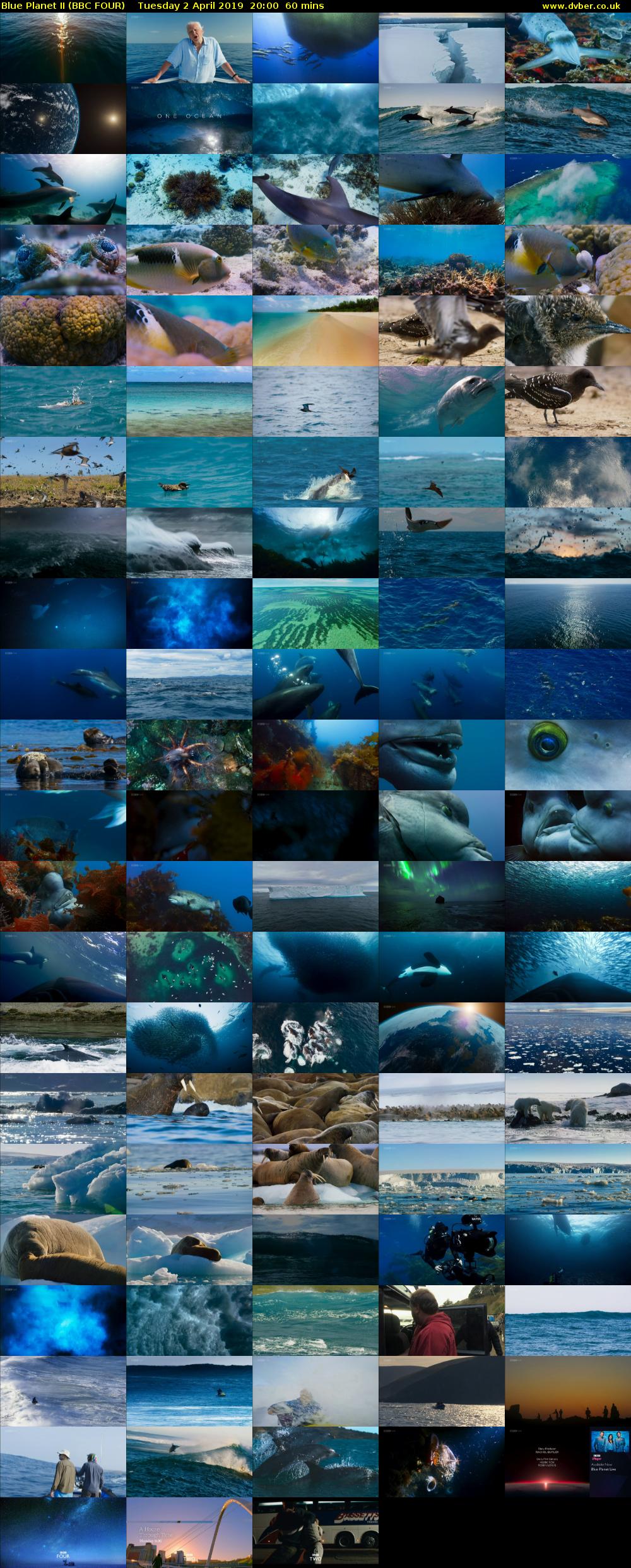 Blue Planet II (BBC FOUR) Tuesday 2 April 2019 20:00 - 21:00