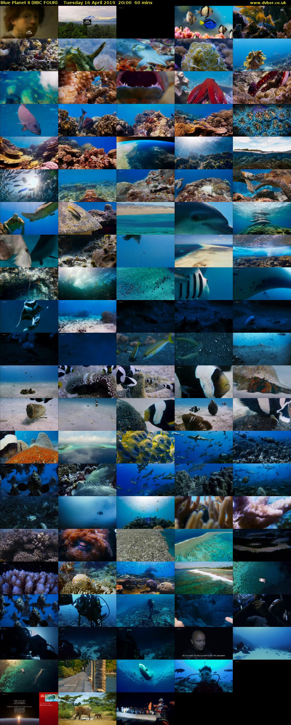 Blue Planet II (BBC FOUR) Tuesday 16 April 2019 20:00 - 21:00