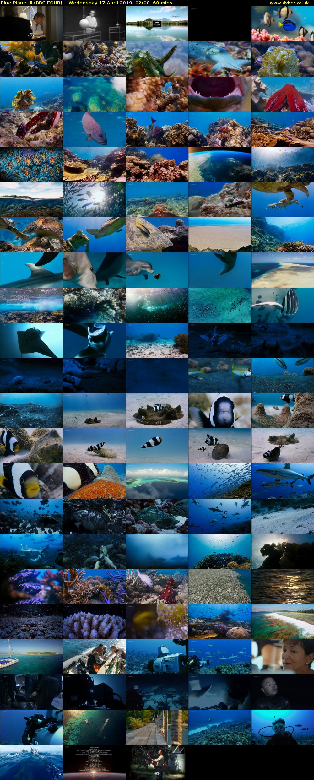 Blue Planet II (BBC FOUR) Wednesday 17 April 2019 02:00 - 03:00
