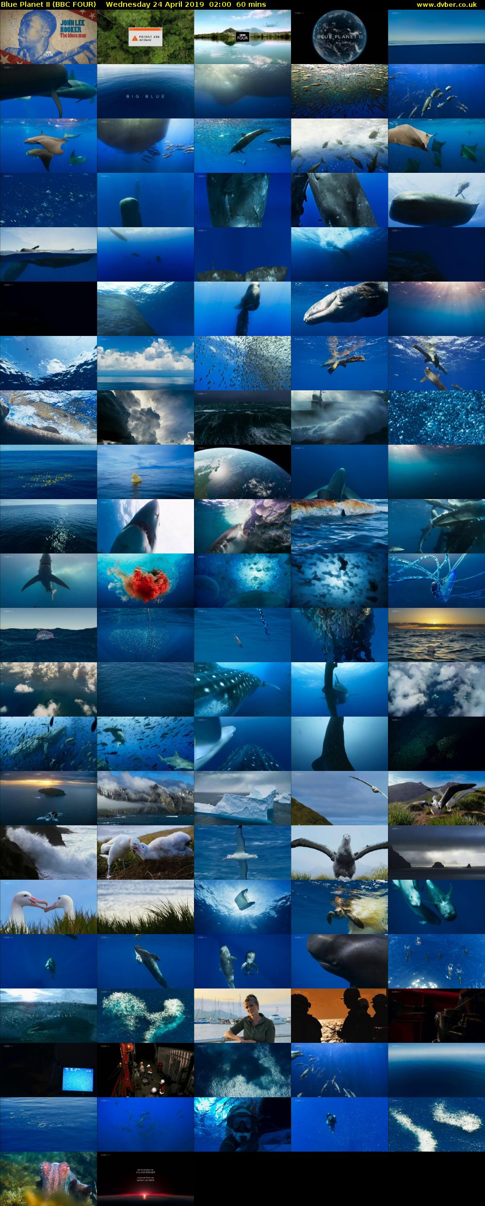Blue Planet II (BBC FOUR) Wednesday 24 April 2019 02:00 - 03:00