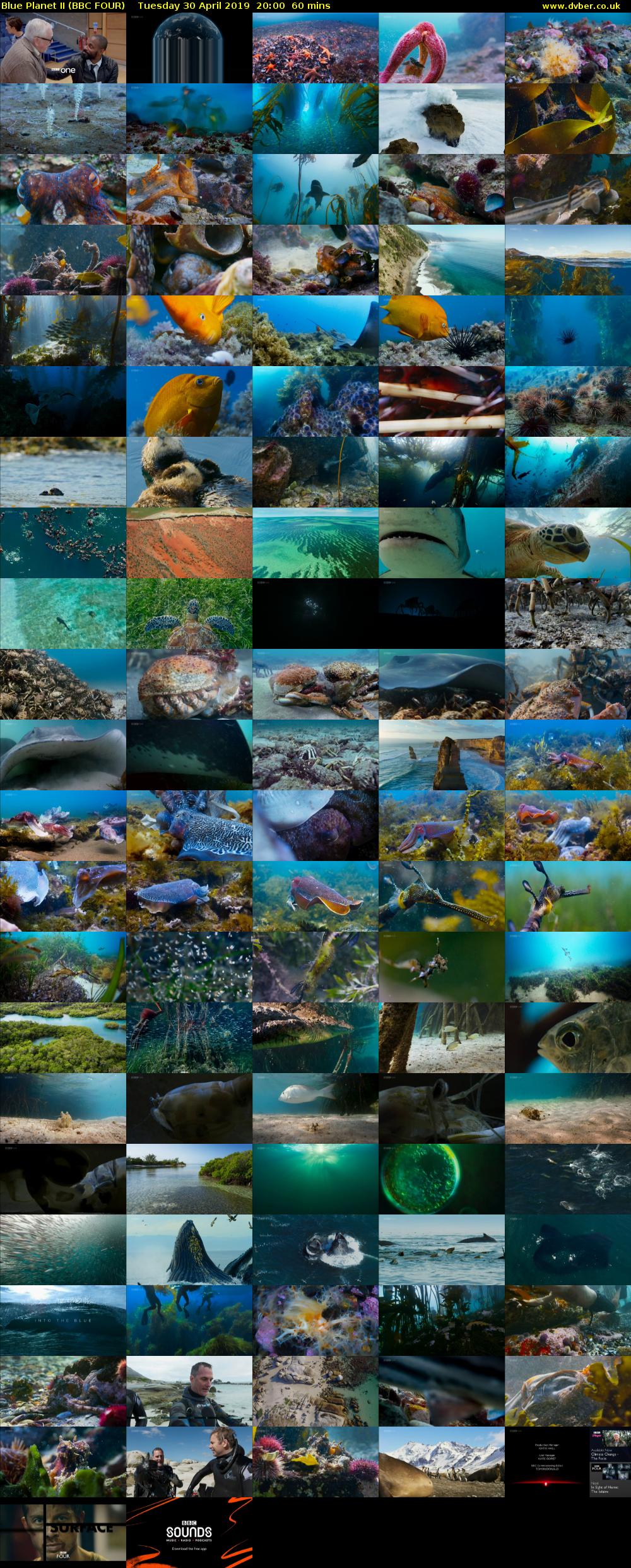Blue Planet II (BBC FOUR) Tuesday 30 April 2019 20:00 - 21:00