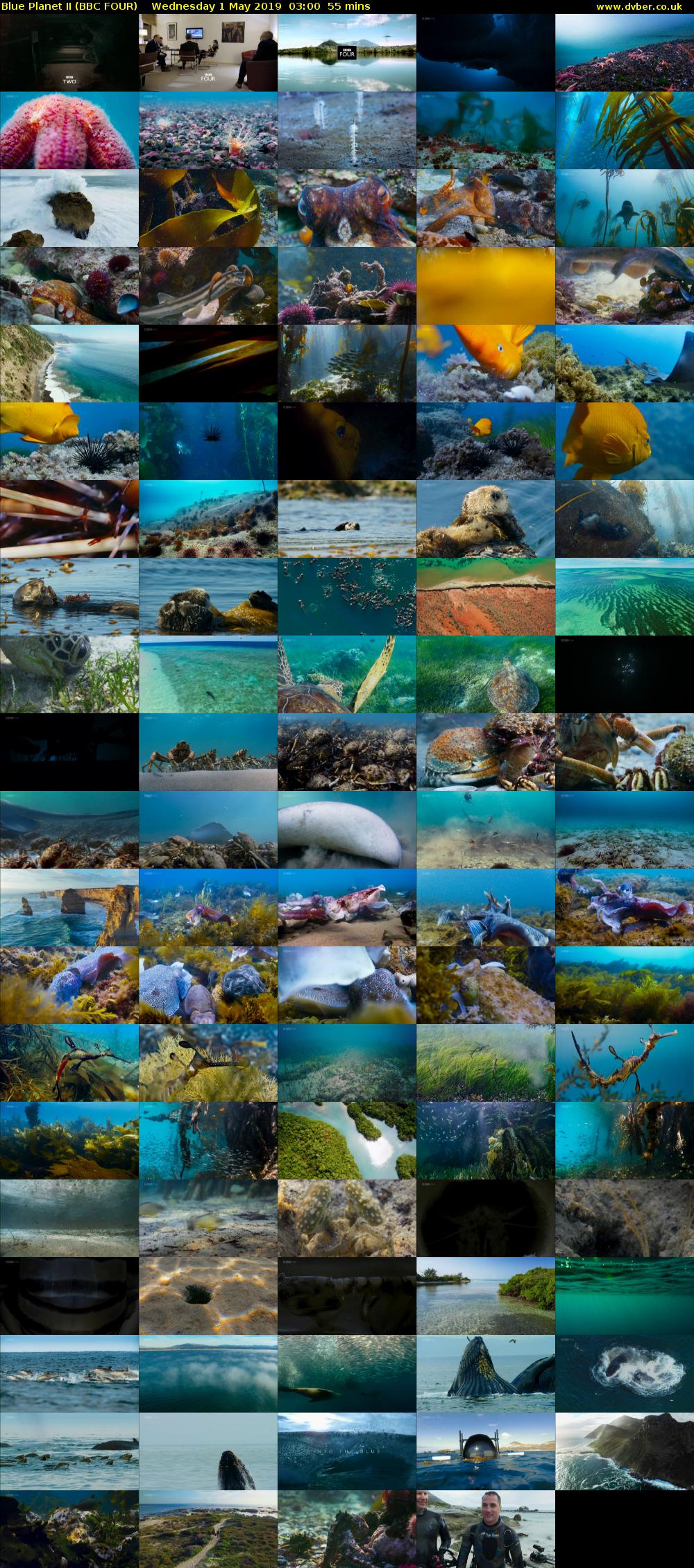 Blue Planet II (BBC FOUR) Wednesday 1 May 2019 03:00 - 03:55