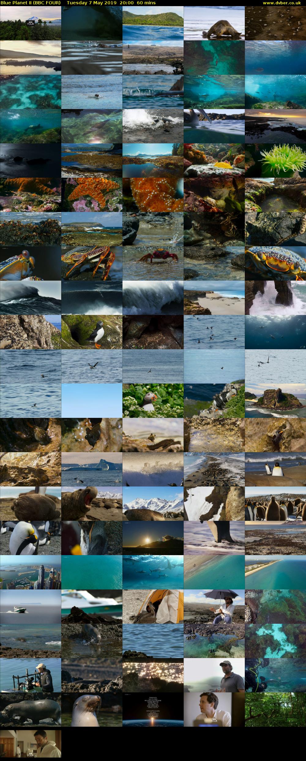 Blue Planet II (BBC FOUR) Tuesday 7 May 2019 20:00 - 21:00