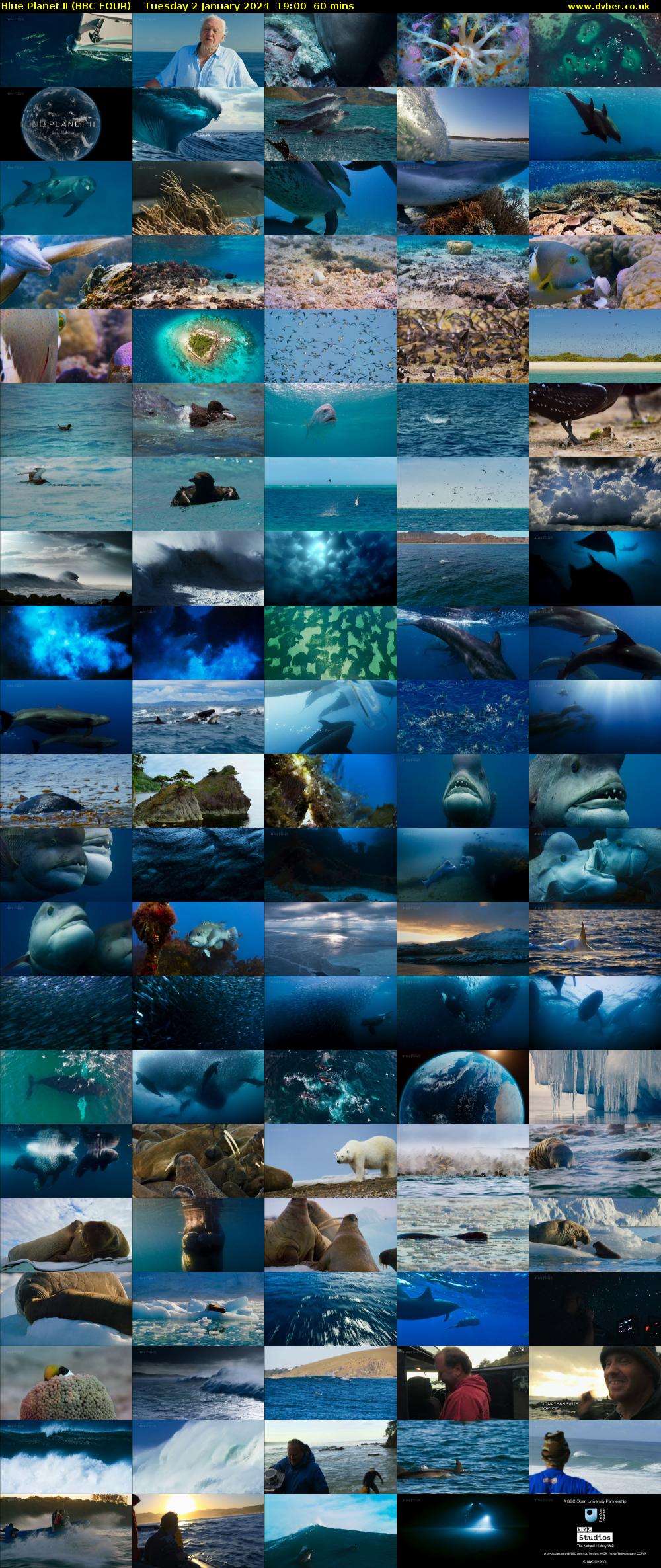 Blue Planet II (BBC FOUR) Tuesday 2 January 2024 19:00 - 20:00