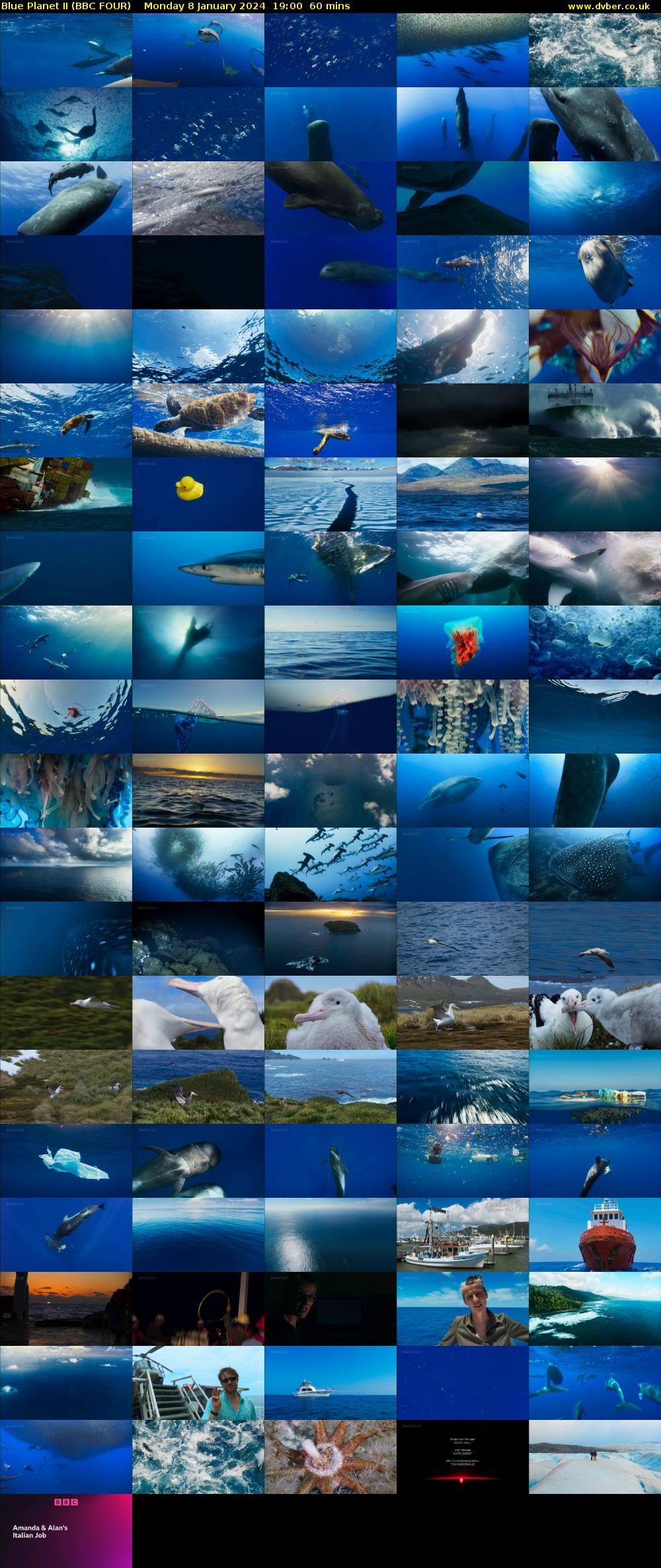 Blue Planet II (BBC FOUR) Monday 8 January 2024 19:00 - 20:00