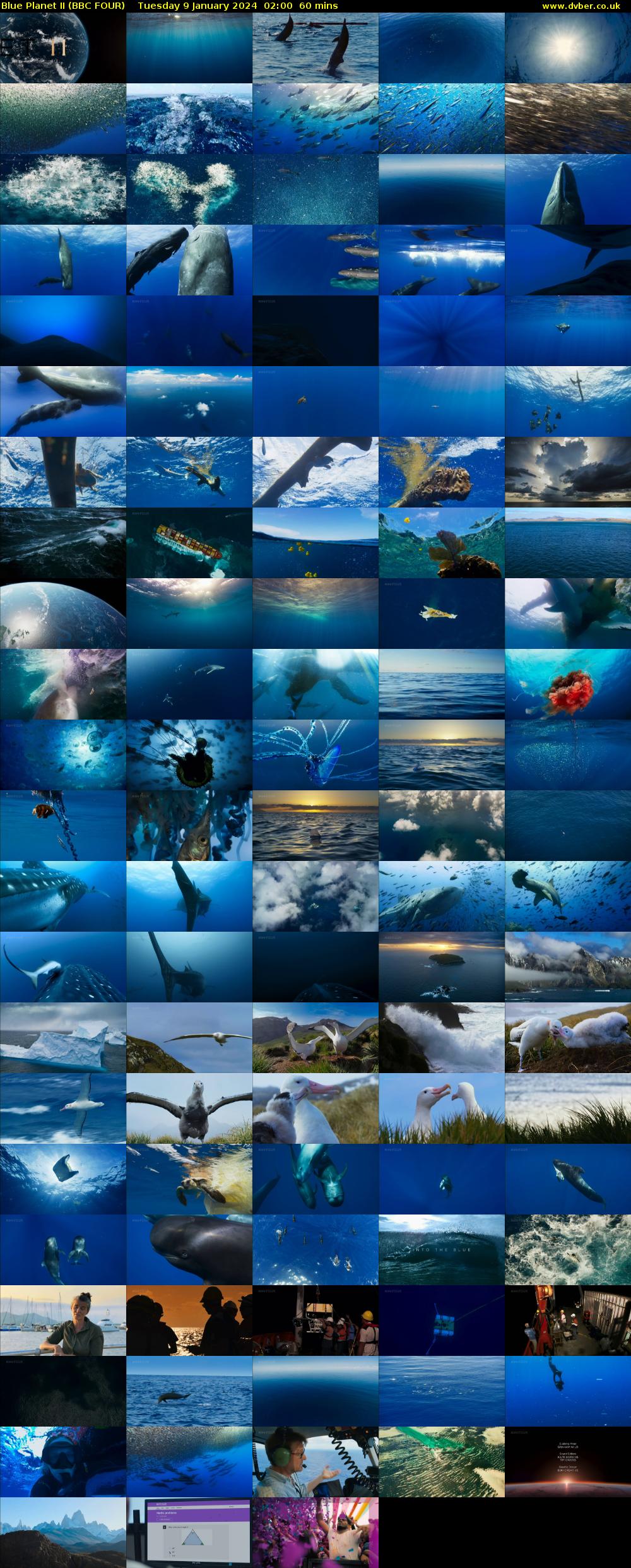 Blue Planet II (BBC FOUR) Tuesday 9 January 2024 02:00 - 03:00