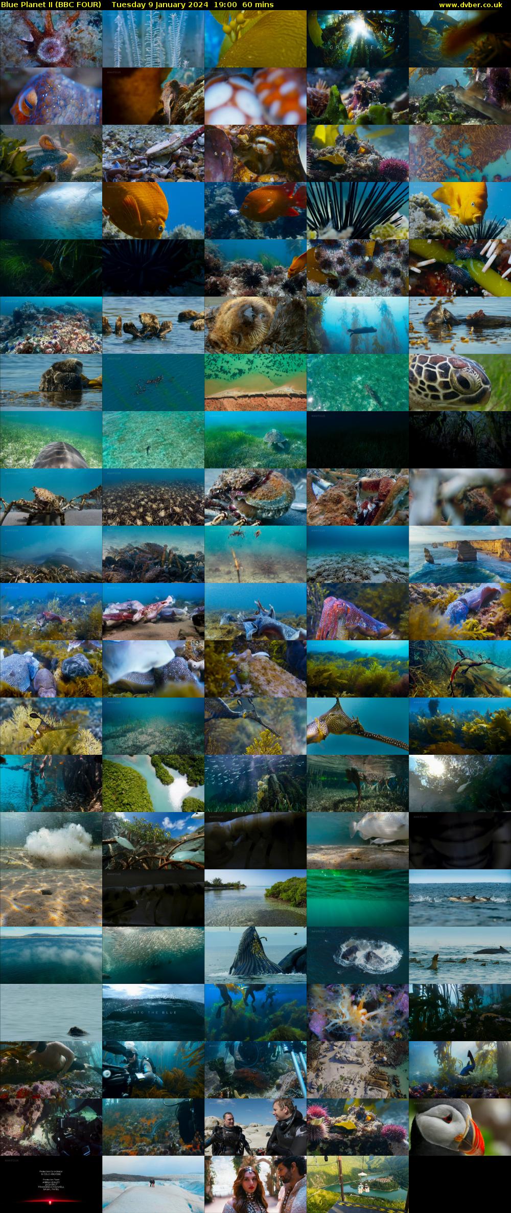 Blue Planet II (BBC FOUR) Tuesday 9 January 2024 19:00 - 20:00