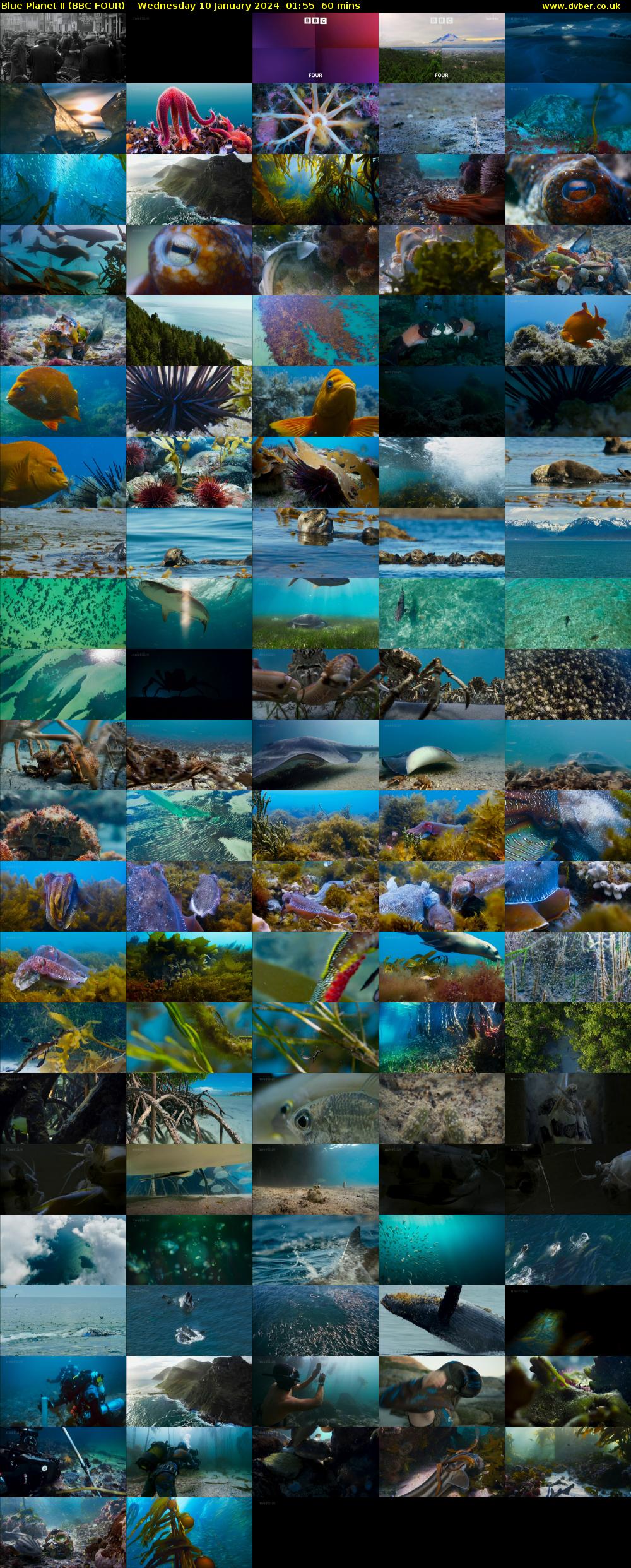 Blue Planet II (BBC FOUR) Wednesday 10 January 2024 01:55 - 02:55