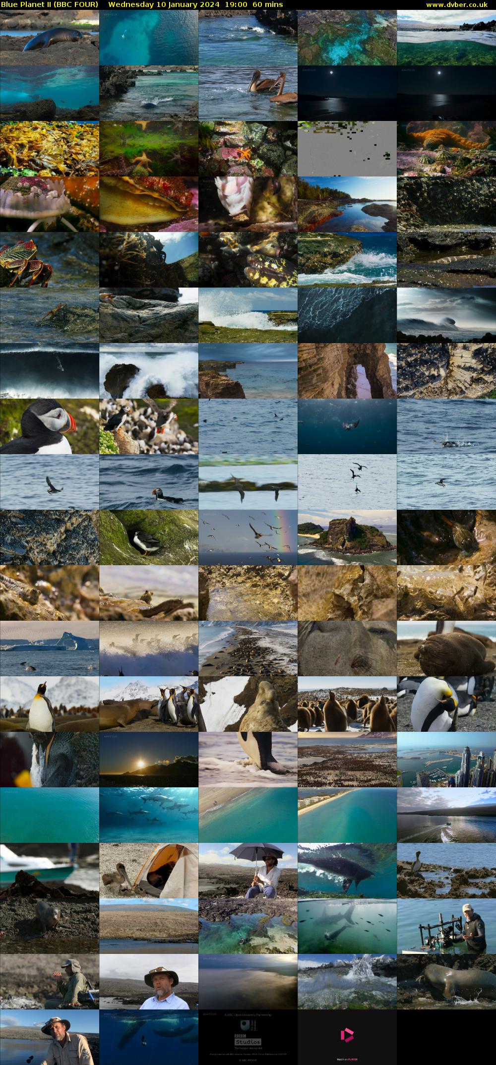 Blue Planet II (BBC FOUR) Wednesday 10 January 2024 19:00 - 20:00