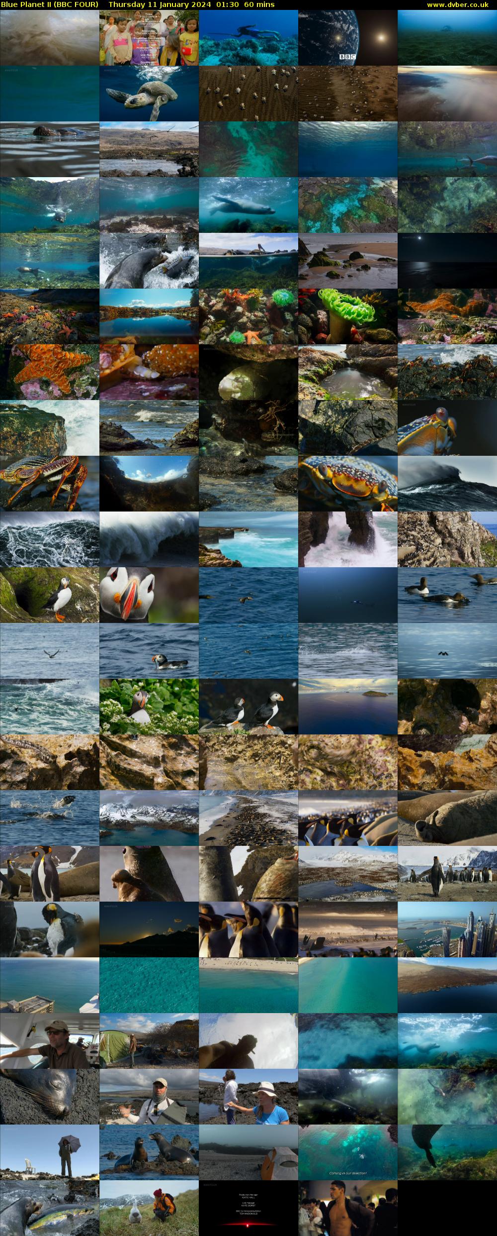 Blue Planet II (BBC FOUR) Thursday 11 January 2024 01:30 - 02:30