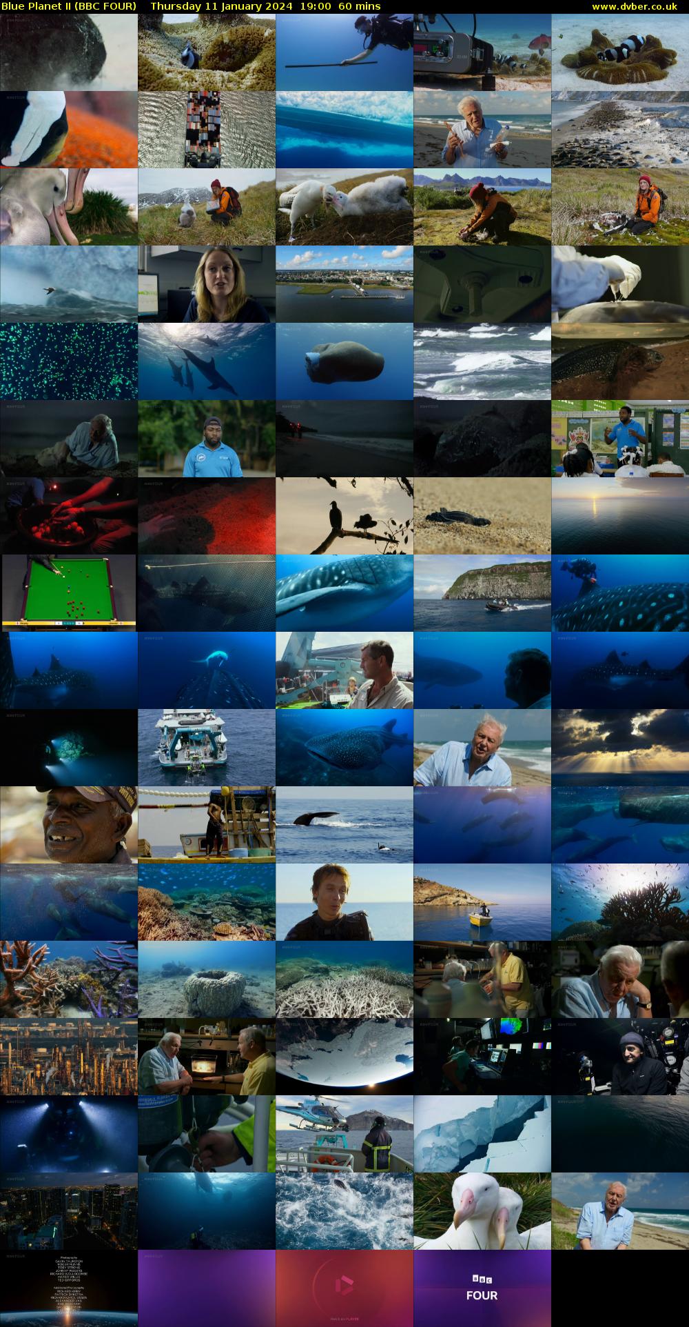 Blue Planet II (BBC FOUR) Thursday 11 January 2024 19:00 - 20:00