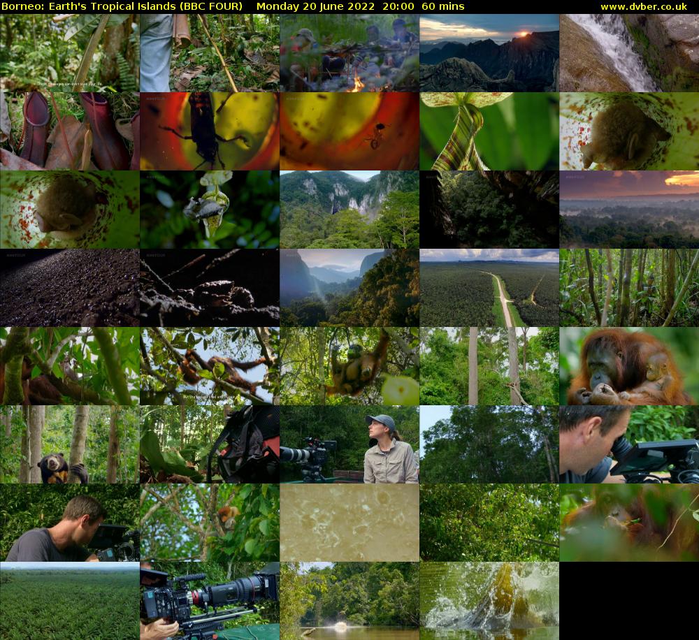 Borneo: Earth's Tropical Islands (BBC FOUR) Monday 20 June 2022 20:00 - 21:00