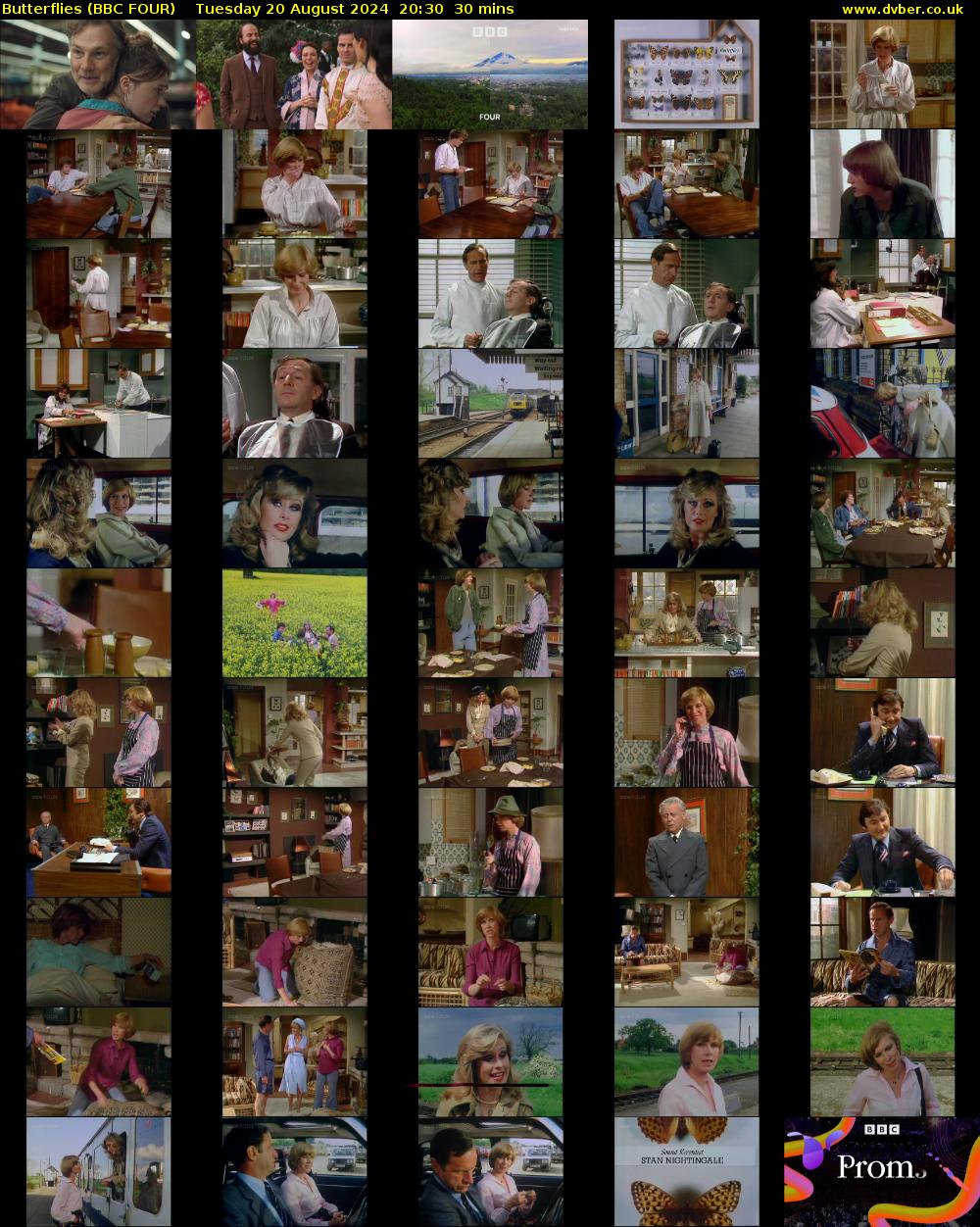Butterflies (BBC FOUR) Tuesday 20 August 2024 20:30 - 21:00