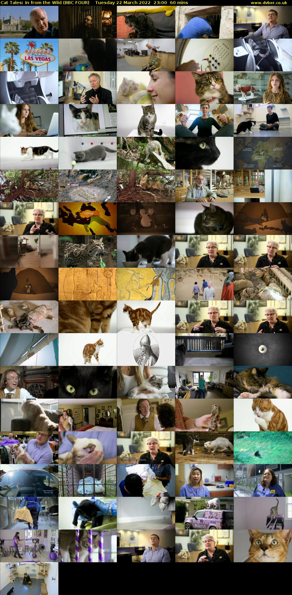 Cat Tales: In from the Wild (BBC FOUR) Tuesday 22 March 2022 23:00 - 00:00