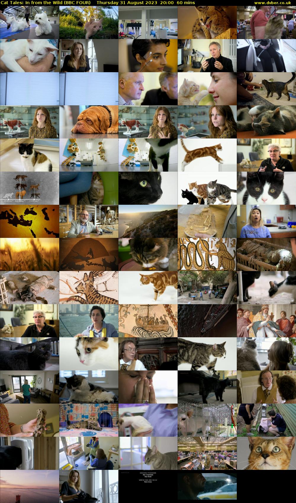 Cat Tales: In from the Wild (BBC FOUR) Thursday 31 August 2023 20:00 - 21:00
